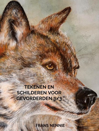 Tekenen en schilderen voor gevorderden 3/3, Frans Nennie - Gebonden - 9789465126913