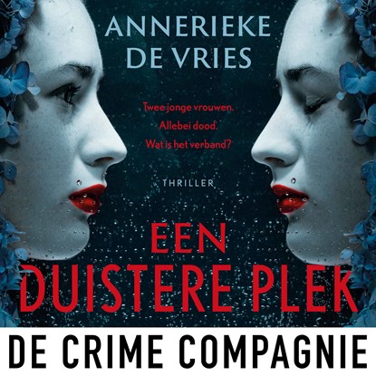 Een duistere plek, Annerieke de Vries - Luisterboek MP3 - 9789465171463