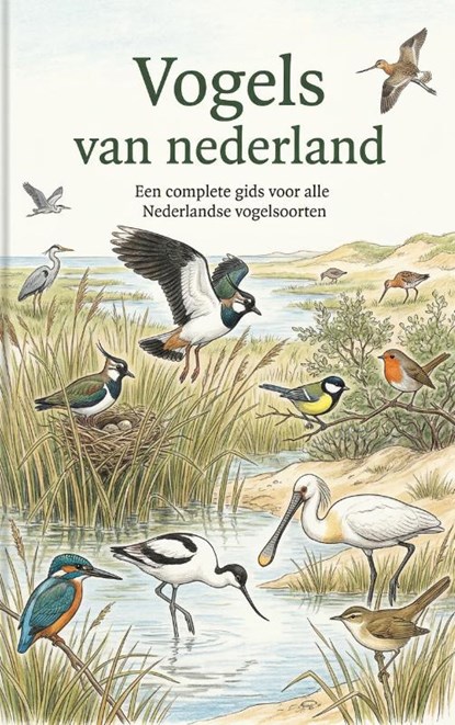 Vogels van nederland, Andries B.V. - Paperback - 9789465194929