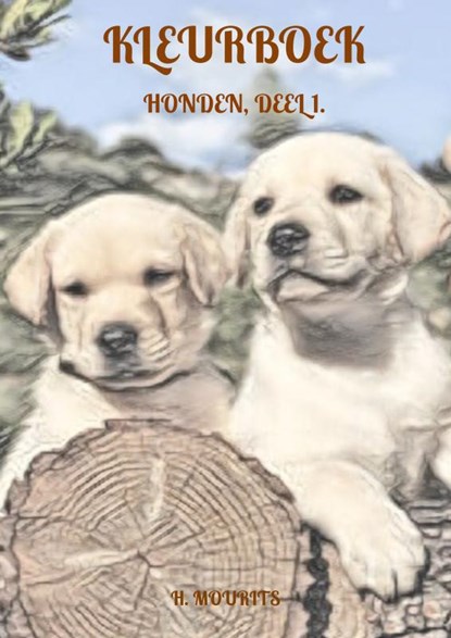 Kleurboek, H. Mourits - Paperback - 9789465200484