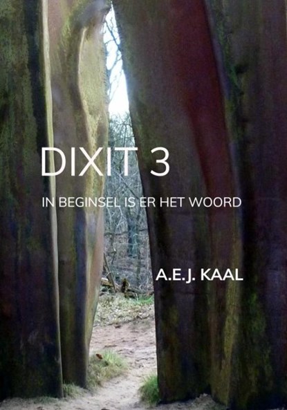 DIXIT 3, A.E.J. Kaal - Gebonden - 9789465201092