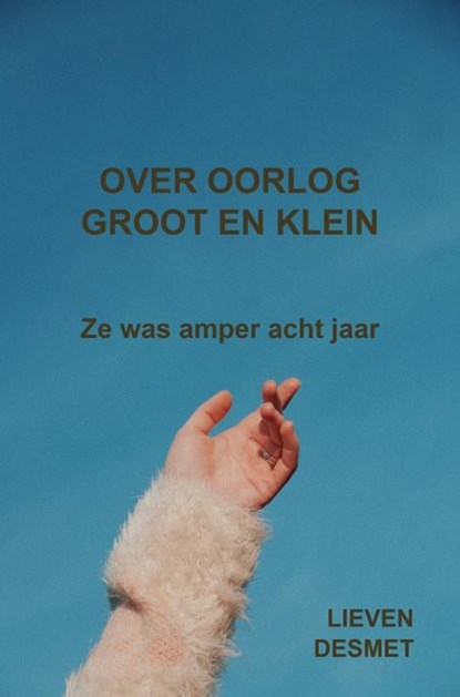 Over oorlog groot en klein, Lieven Desmet - Ebook - 9789465204970