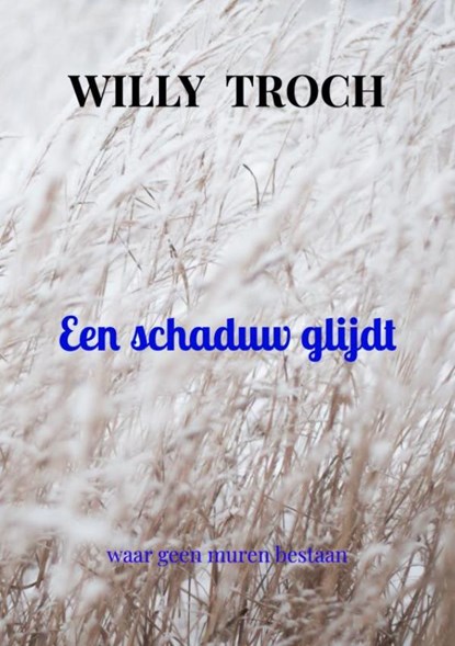 Een schaduw glijdt, Willy Troch - Paperback - 9789465205830