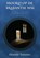 IJskoud, Desirée Tonino - Paperback - 9789465266732