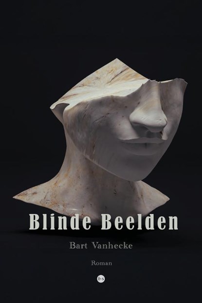 Blinde Beelden, Bart Vanhecke - Paperback - 9789465281292