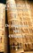 Max Kostas en de Verborgen Wereld, Lena Schoonis - Paperback - 9789465281520