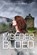 Moederbloed, a.j. HESELMAN - Paperback - 9789465283234