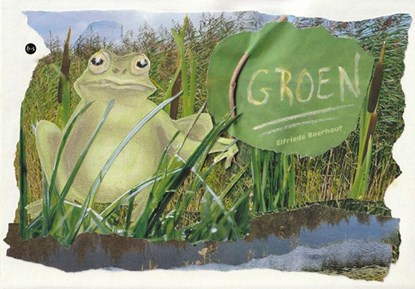 Groen, Elfriede Boerhout - Paperback - 9789465283555