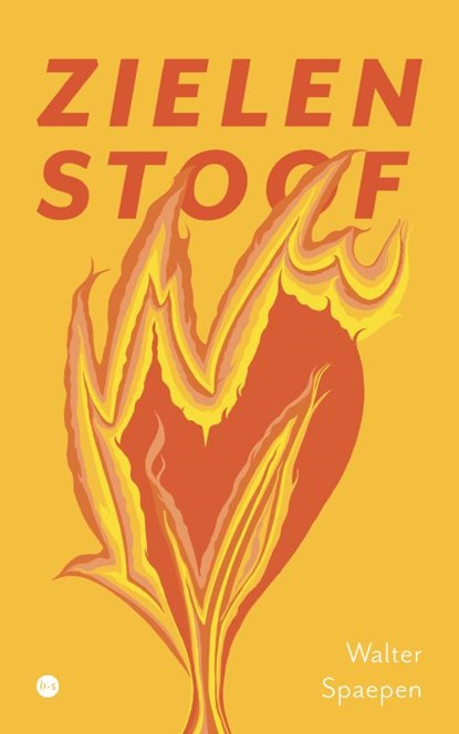 Zielenstoof, Walter Spaepen - Paperback - 9789465284347