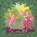 Flora en Nini samen op avontuur, Nathalie de Waard-Devers - Paperback - 9789465284781