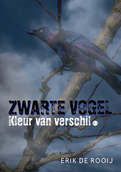 Zwarte vogel, Erik de Rooij - Paperback - 9789465285504