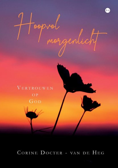 Hoopvol morgenlicht, Corine Docter - van de Heg - Paperback - 9789465287102