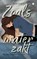 Zoals water zakt, Tine Smet - Paperback - 9789465287294