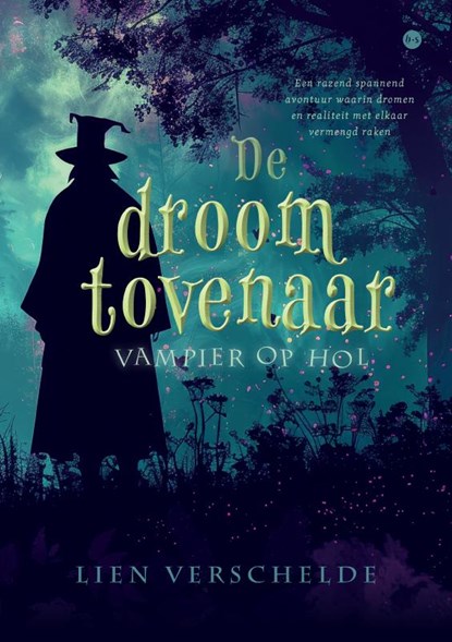 De droomtovenaar, Lien Verschelde - Paperback - 9789465287317
