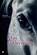Mijn ridderspoor, Hennie Hermans van Meer - Paperback - 9789465288000