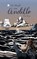 De Strijd om Andillo, Oona Henry - Paperback - 9789465288994
