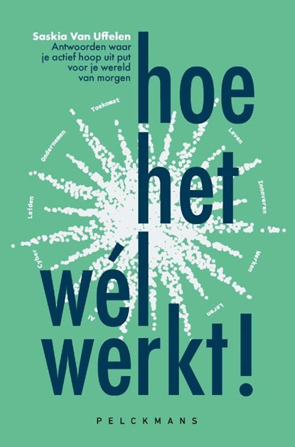 Hoe het wél werkt!, Saskia Van Uffelen - Paperback - 9789465301013