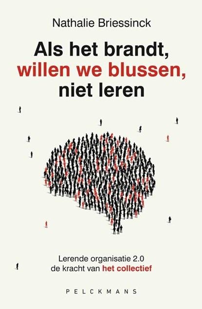 Als het brandt, willen we blussen, niet leren, Nathalie Briessinck - Paperback - 9789465301617