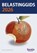 Belastinggids 2026, Pieter Debbaut - Paperback - 9789465303116