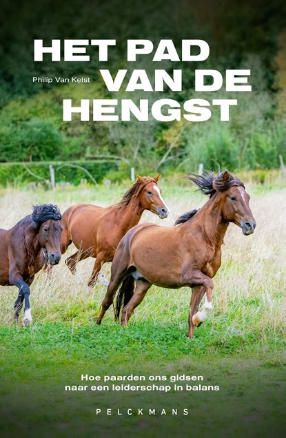 Het pad van de hengst, Philip Van Kelst - Ebook - 9789465303222