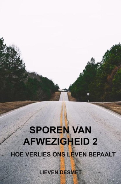 Sporen van afwezigheid 2, Lieven Desmet - Paperback - 9789465312736