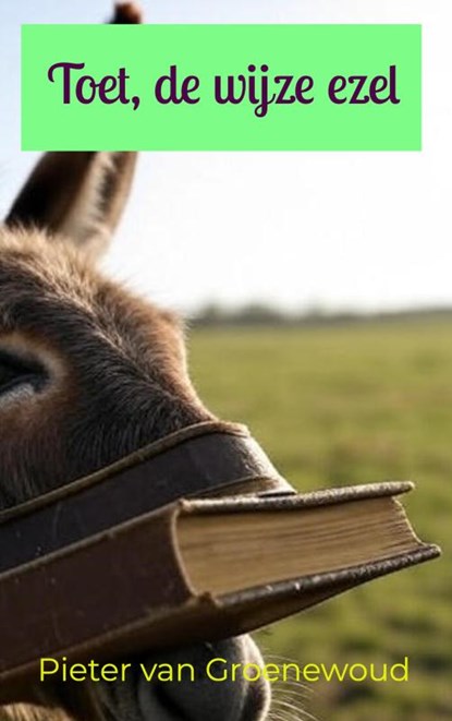 Toet, de wijze ezel, Pieter van Groenewoud - Paperback - 9789465313948