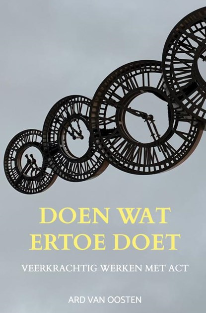 Doen wat ertoe doet, Ard van Oosten - Gebonden - 9789465315133