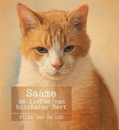 Saame, Vilan Van de Loo - Paperback - 9789465331089