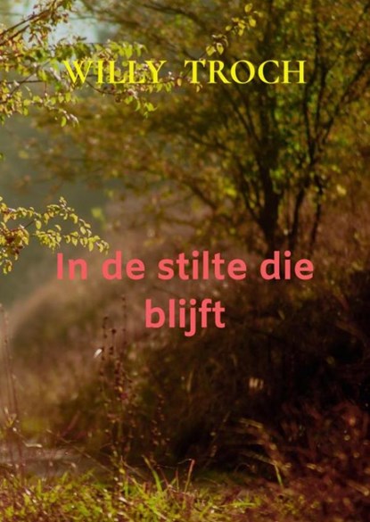In de stilte die blijft, Willy Troch - Paperback - 9789465381701