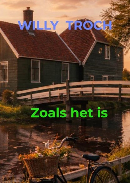 Zoals het is, Willy Troch - Paperback - 9789465384702
