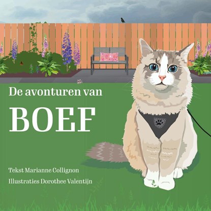 De avonturen van Boef, Dorothée en Marianne Valentijn en Collignon - Paperback - 9789465386140