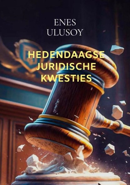 Hedendaagse juridische kwesties, Enes Ulusoy - Paperback - 9789465386164