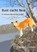 Rust zacht Noa, Paulien Luiten - Paperback - 9789465387871