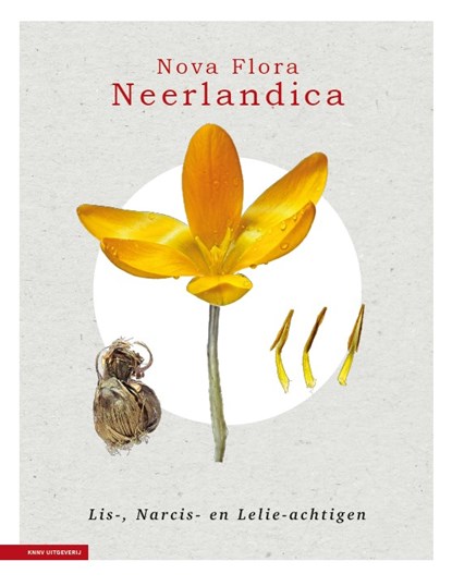 Nova Flora Neerlandica deel 3 - Lis-, Narcis- en Lelieachtigen, Joop Schaminée ; Rense Haveman ; Roel Lemmens ; Wim de Winter - Gebonden - 9789465420011