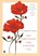 Van ademnood naar innerlijke rust, Nicole Wagteveld-Cillessen - Paperback - 9789465448237