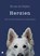 Herzien, Els van der Heijden - Paperback - 9789465449821