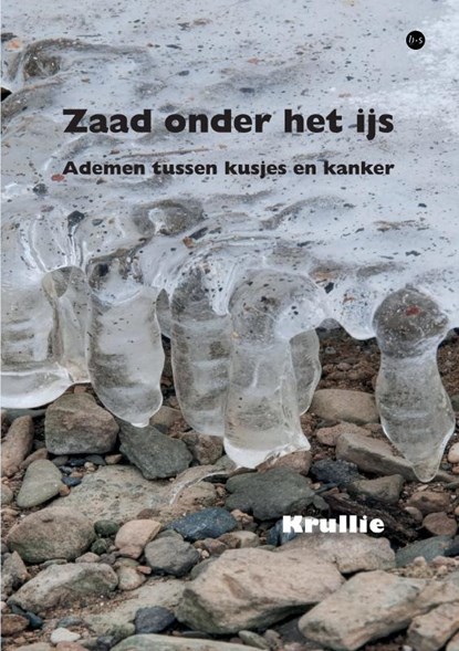 Zaad onder het ijs, Ronald Munts - Paperback - 9789465449944