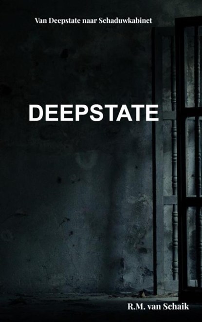 Van Deepstate naar Schaduwkabinet, R.M. Van Schaik - Paperback - 9789465469928