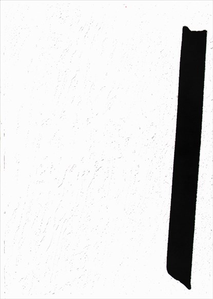 Flat finish, Stephan Keppel - Paperback - 9789490119553