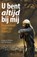 U bent altijd bij mij, Wilkin van de Kamp - Paperback - 9789490254339