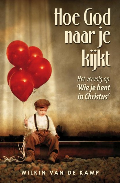 Hoe God naar je kijkt, Wilkin van de Kamp - Paperback - 9789490254490