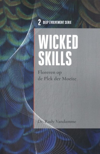 Wicked Skills, Rudy Vandamme - Paperback - 9789490384364