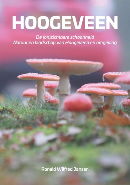 Hoogeveen. De (on)zichtbare schoonheid. Natuur en landschap van Hoogeveen en omgeving, Ronald Wilfred Jansen - Paperback - 9789490482596