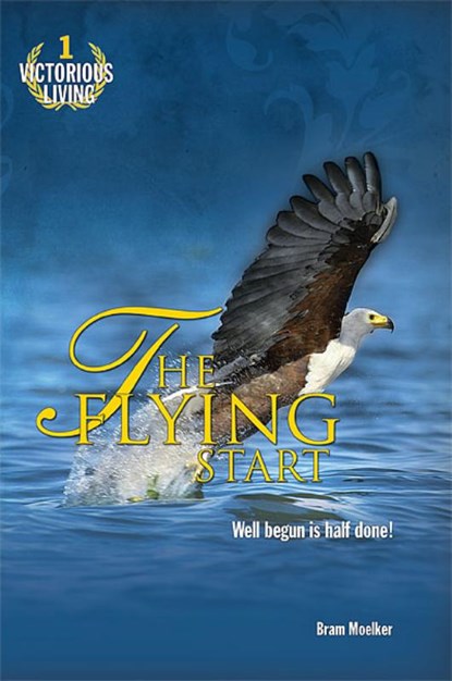 The flying start, Bram Moelker - Paperback - 9789490489021
