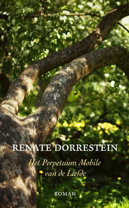 Het perpetuum mobile van de liefde, Renate Dorrestein - Paperback - 9789490647032