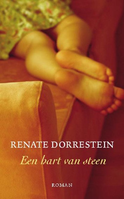 Een hart van steen, Renate Dorrestein - Paperback - 9789490647087