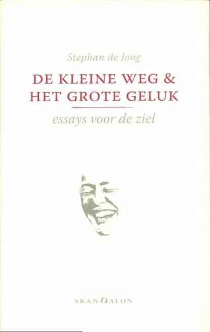 De kleine weg en het grote geluk, Stephan de Jong - Paperback - 9789490708252