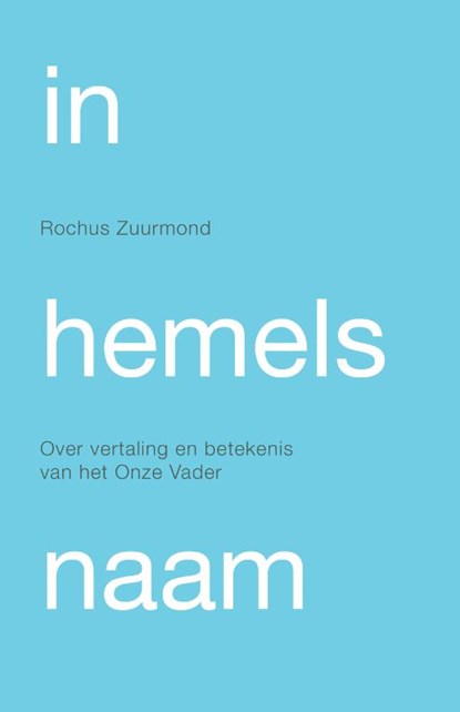 In hemelsnaam, Rochus Zuurmond - Paperback - 9789490708405