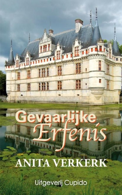 Gevaarlijke erfenis, Anita Verkerk - Ebook - 9789490763336