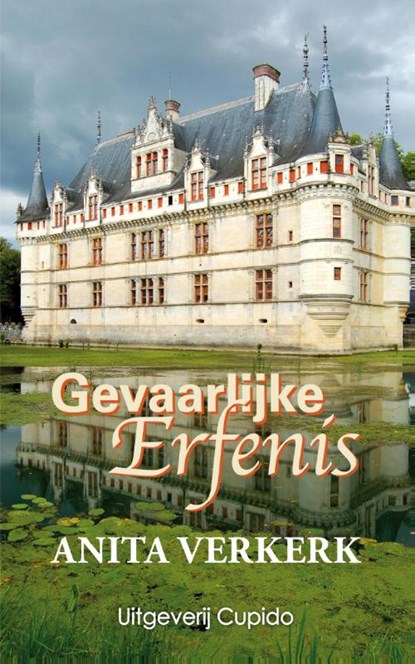 Gevaarlijke erfenis, Anita Verkerk - Ebook EPUB - 9789490763824